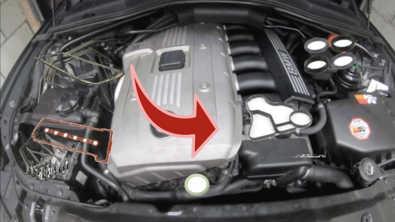 See C2954 repair manual