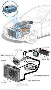 See C2954 repair manual